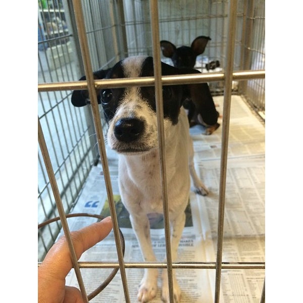 Photos at Kalihi Pet Center Pet Supplies Store in Honolulu