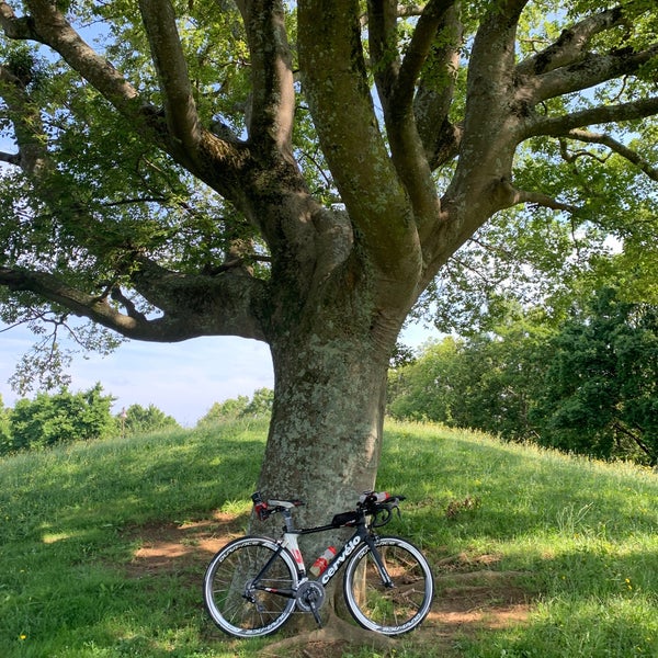 Photos At ちはら台公園 Park