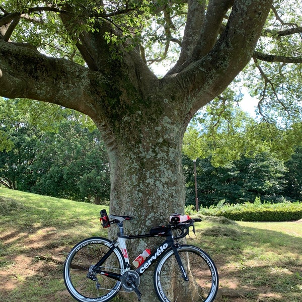 Photos At ちはら台公園 Park