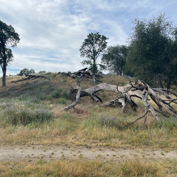 Photos at Maidu Regional Park Park in Maidu