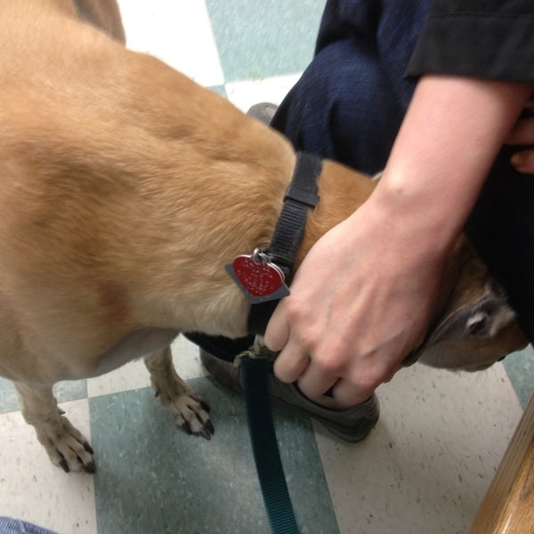 banfield pet hospital millerville