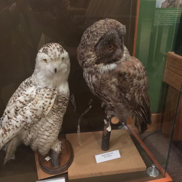 Photo taken at Audubon Society of Portland by Tammy S. on 2/20/2015