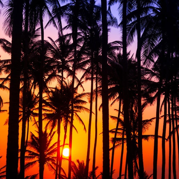 9/17/2017 tarihinde Cesar A.ziyaretçi tarafından ABR - AKUMAL BEACH RESORT'de çekilen fotoğraf