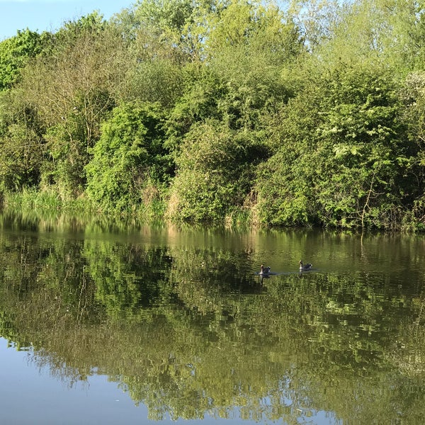 Kam Tong Garden Great Holm 11 tips