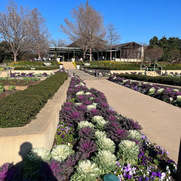 Foto tirada no(a) Dallas Arboretum and Botanical Garden por Sean H. em 2/11/2023