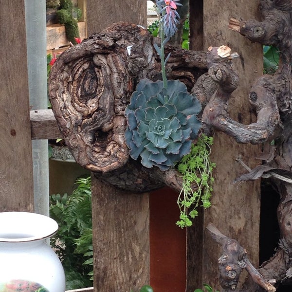 Vandersalms Flowers Kalamazoo Mi Best Flower Site