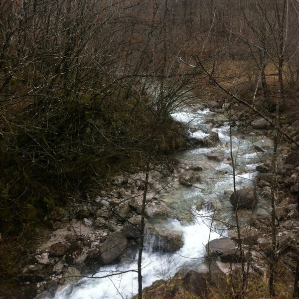 Taipana Taipana, Friuli Venezia Giulia
