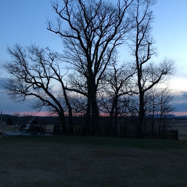 Copse of Trees - Gettysburg, PA