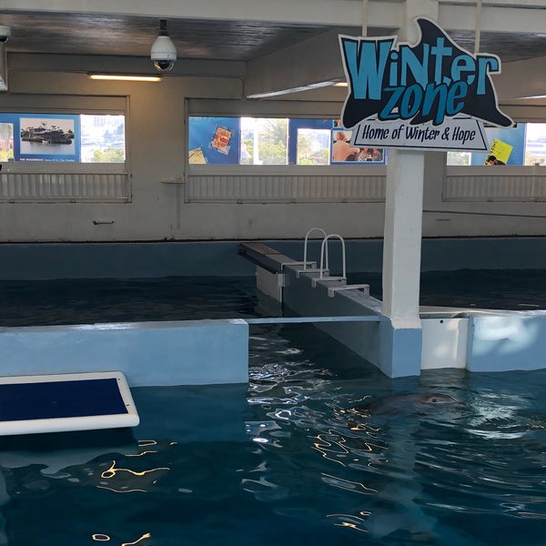 Снимок сделан в Clearwater Marine Aquarium пользователем Mike S. 3/25/2019