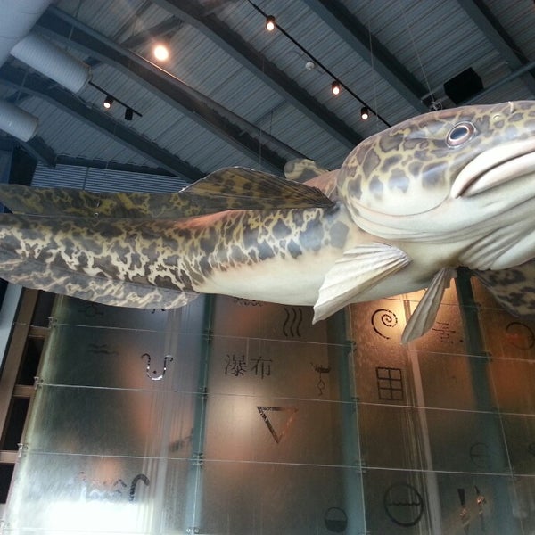 Great Lakes Aquarium Downtown Duluth 353 Harbor Dr