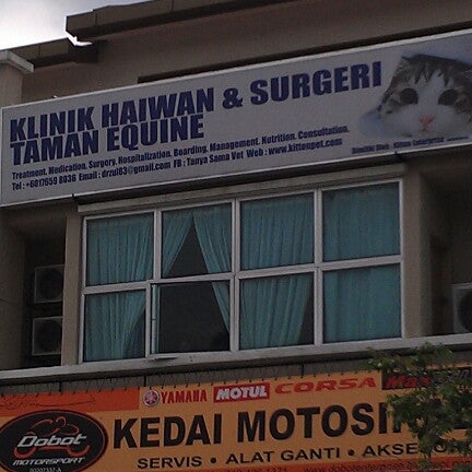 Klinik kucing near me