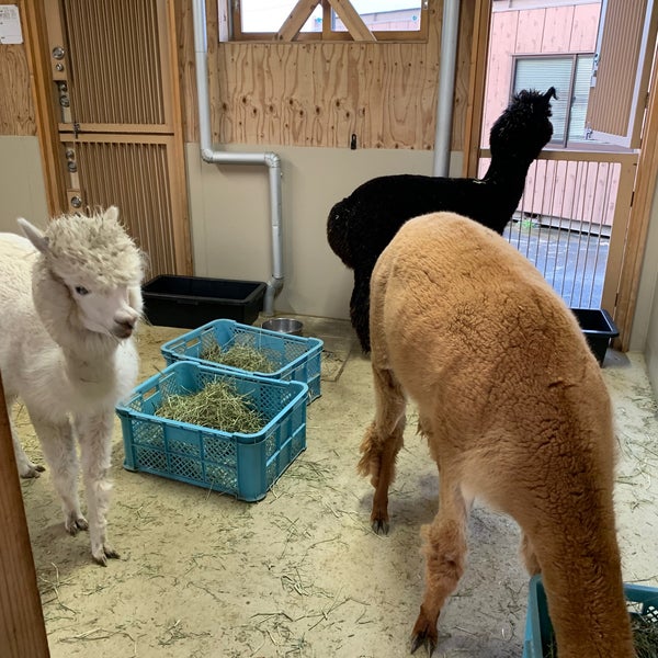 新潟市動物ふれあいセンター 1 Tip 新潟市動物ふれあいセンター 1 Tip