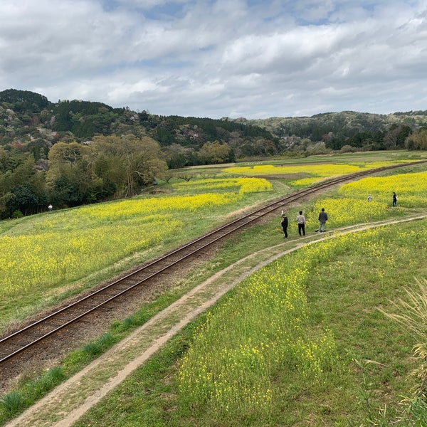 Photos At 石神の菜の花畑 Other Great Outdoors In 市原市