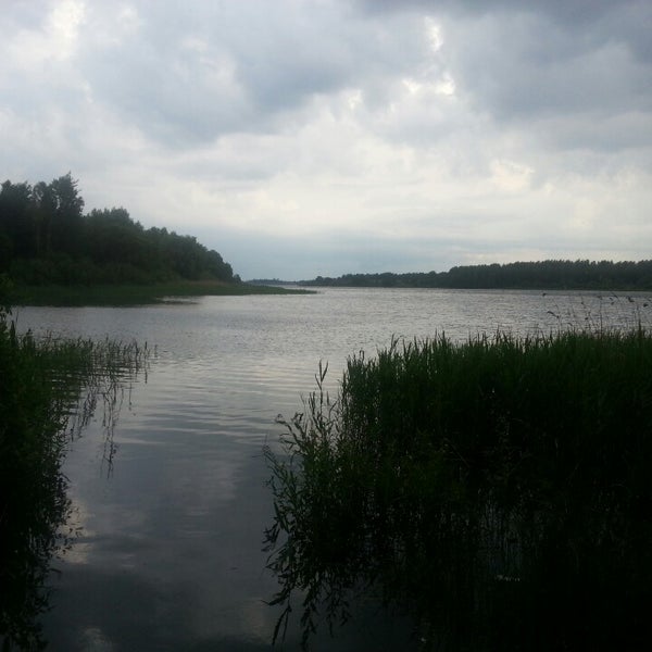Петровичское водохранилище. Петровичское водохранилище. Петровичское водохранилище минск. Петровичское водохранилище минск. Петровичское водохранилище минск.