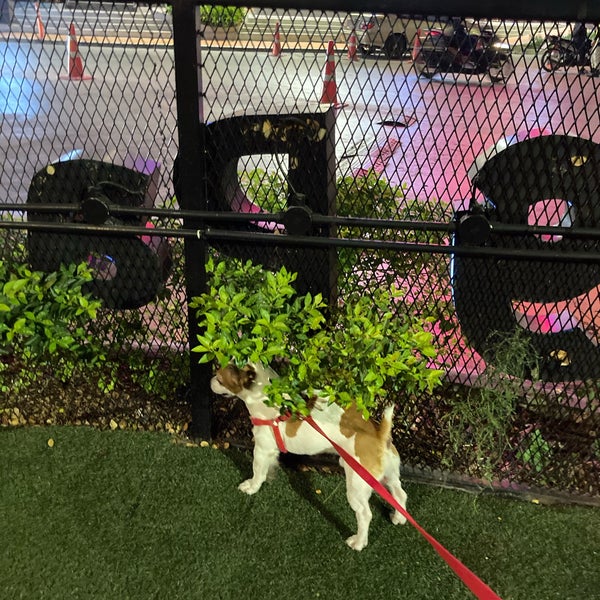 Pet Safari Pet Store in Lat Phrao