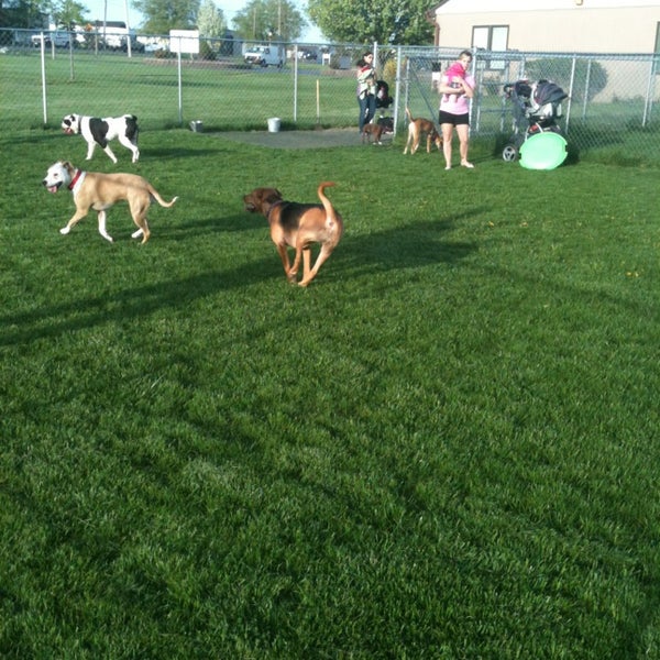 SPCA of Niagara Animal Shelter in Niagara Falls