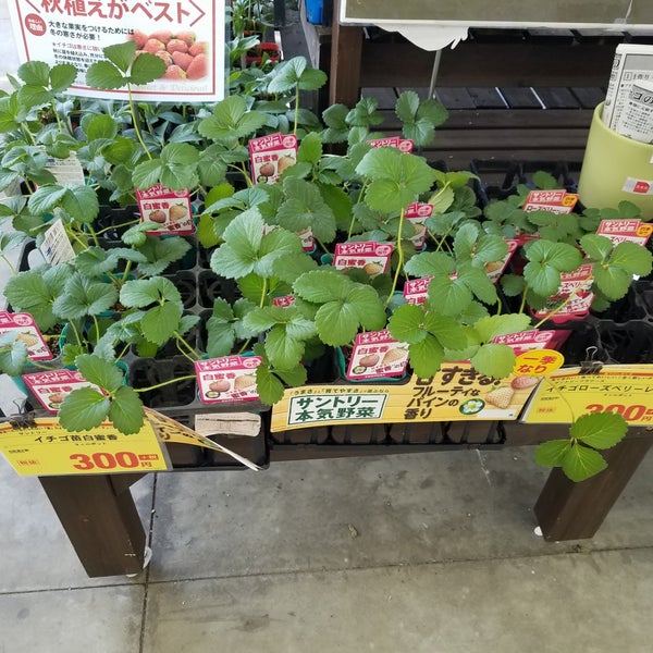 Fotos En ホームセンターコーナン 草津店 Ferreteria Fotos En ホームセンターコーナン 草津店 Ferreteria