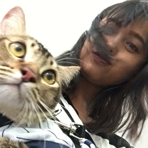 Klinik Veterinar Muezza Now Closed Gombak Kuala Lumpur Kuala Lumpur 3 Tips From 352 Visitors