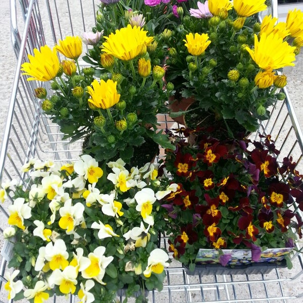 Aveve Garden Center In Schelle