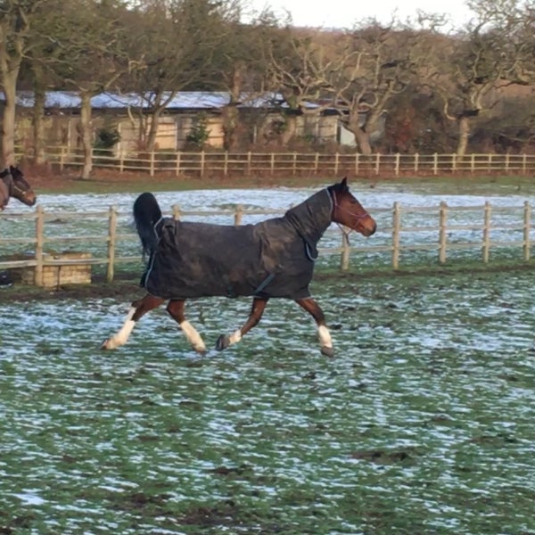 Braeside Equestrian Centre