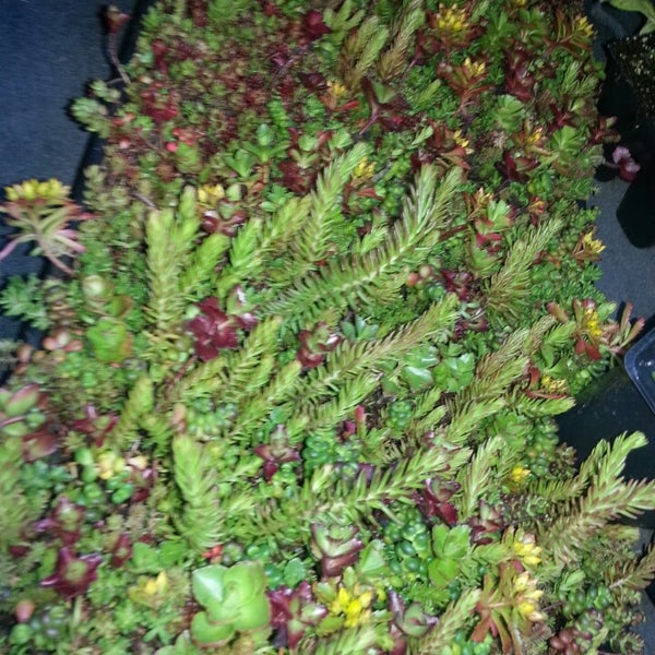 Photos at Lowe's Salt Lake City, UT