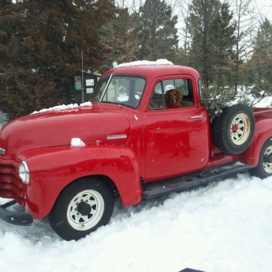 Beck Christmas Tree Farm 8 Visitors