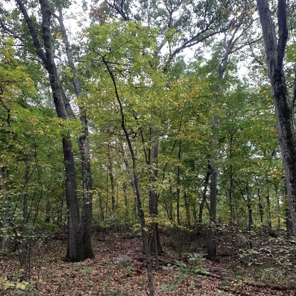 Prospect Hill Park Waltham, MA