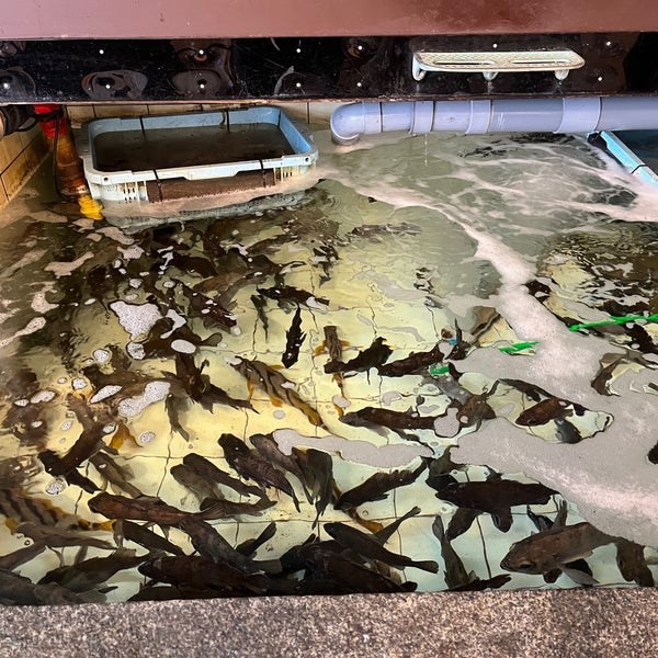 Photos At 御やど 乙姫 日間賀島西浜12