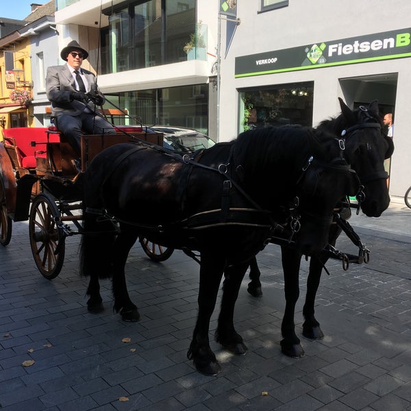 Gemeentehuis Puurs Hoogstraat 29