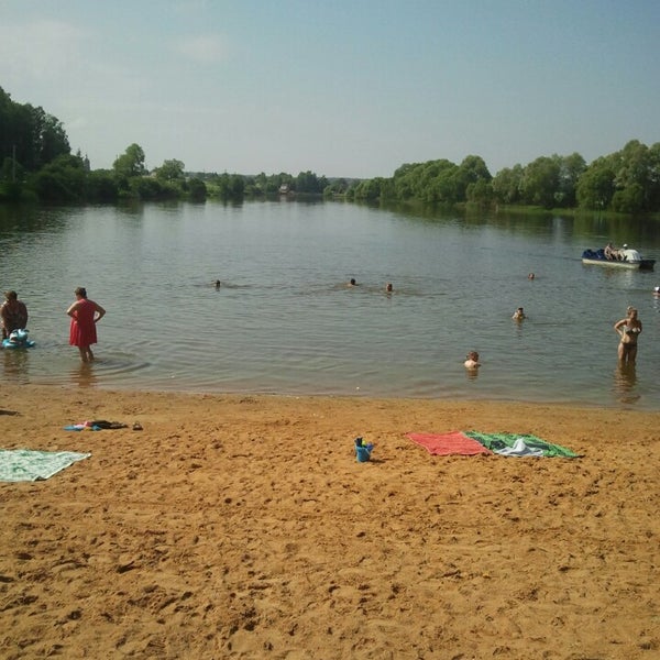 Юсупово пляж домодедово. Пляж фауна в шишкино. Фото кипр море пеликаны. Река злодейка домодедово пляж. Пляж юсупово домодедово платный.