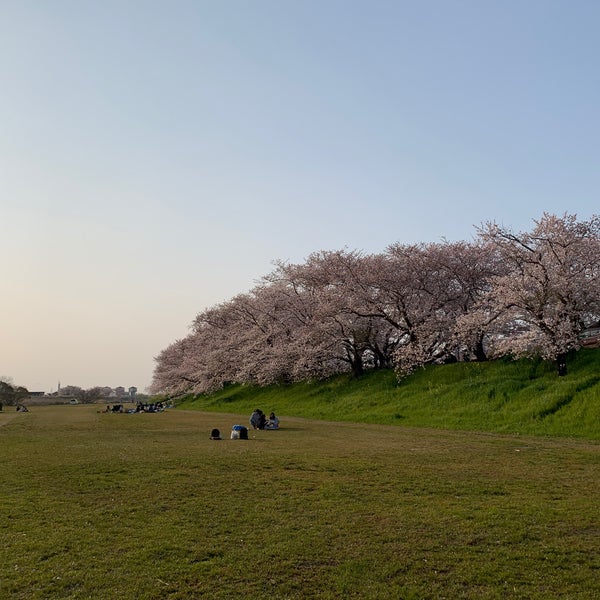 土浦市桜川河川敷 2 Tavsiye
