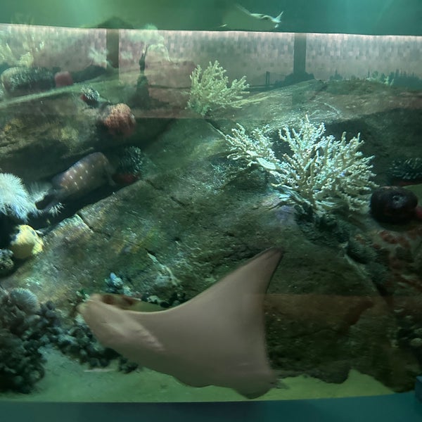 Foto diambil di New York Aquarium oleh Allison C. pada 4/15/2024