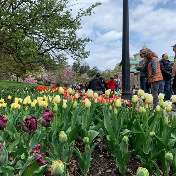 4/19/2019 tarihinde Allison C.ziyaretçi tarafından Brooklyn Botanic Garden'de çekilen fotoğraf