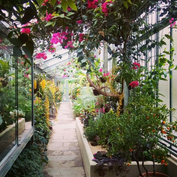 Botanischer Garten Botanical Garden