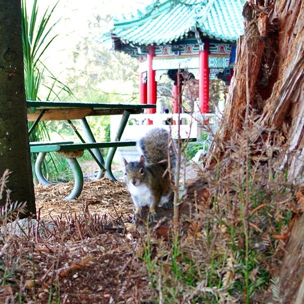 Strawberry Hill - Golden Gate Park - San Francisco, CA