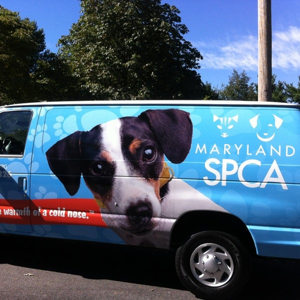 hampden spca