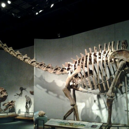Photo taken at Denver Museum of Nature and Science by Jen A. on 11/28/2011