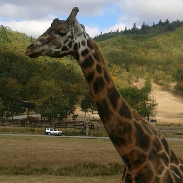 Foto scattata a Wildlife Safari da David S. il 9/22/2012