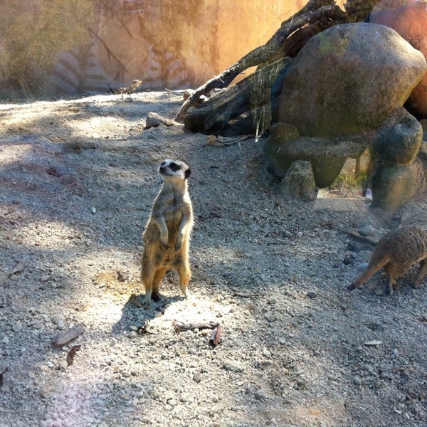 Снимок сделан в Wellington Zoo пользователем Michelle M. 1/29/2014