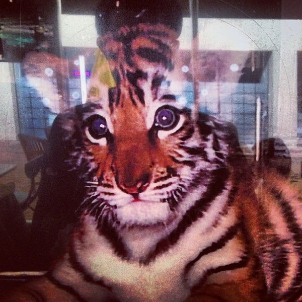 Joe's Pizza Westlake, TX