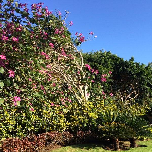 Foto tirada no(a) Paradisus Punta Cana Resort por Jennifer W. em 2/7/2015