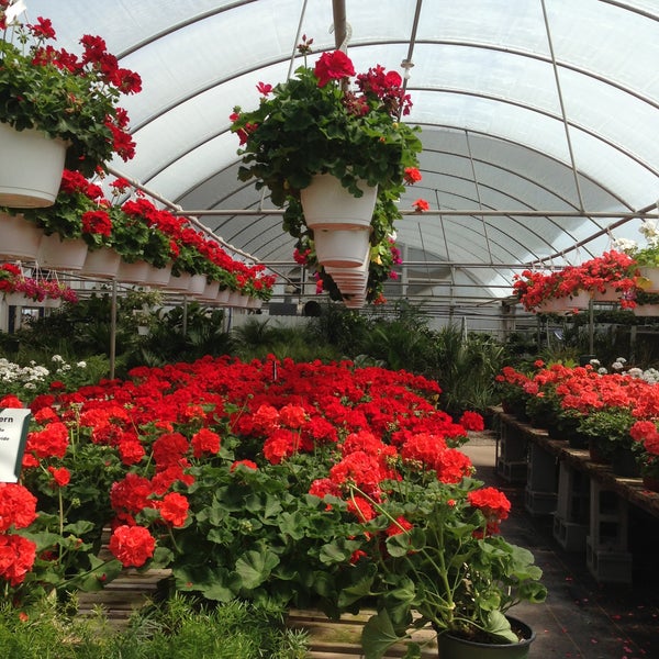 Цветы Эквадор Greenhouses