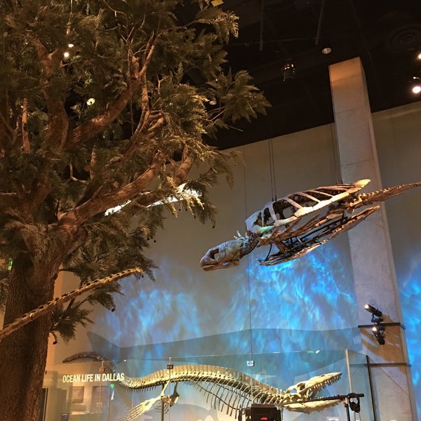 10/23/2019 tarihinde Ming Z.ziyaretçi tarafından Perot Museum of Nature and Science'de çekilen fotoğraf