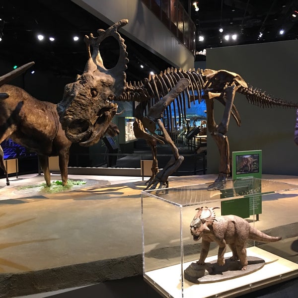 Photo taken at Perot Museum of Nature and Science by Ming Z. on 10/23/2019