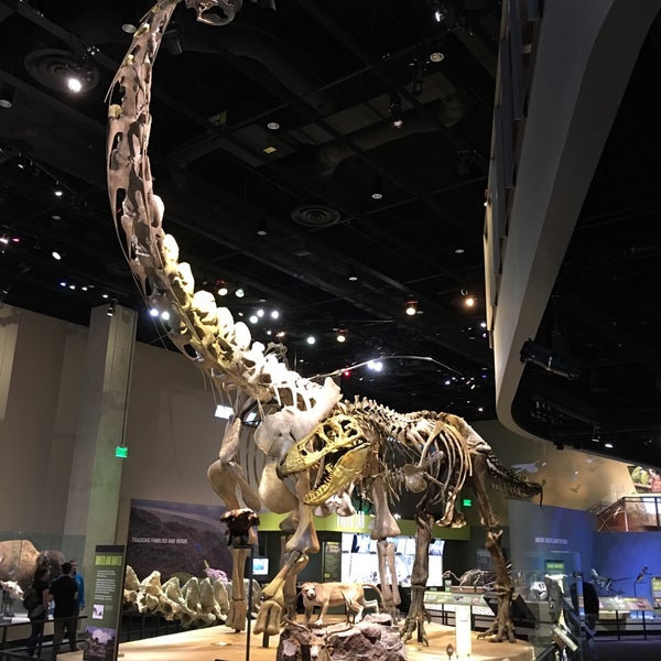 Foto tirada no(a) Perot Museum of Nature and Science por Ming Z. em 10/23/2019