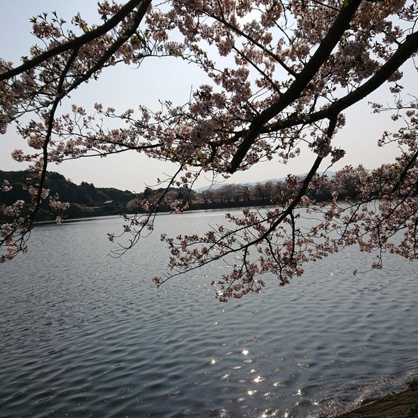 立岡自然公園 Park 立岡自然公園 Park