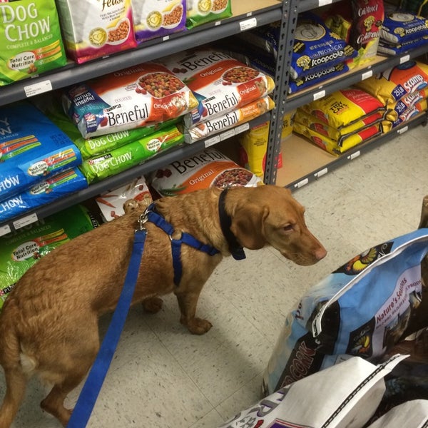 Calhoun Pet Supply East Harriet'te Evcil Hayvan Malzemeleri Mağazası