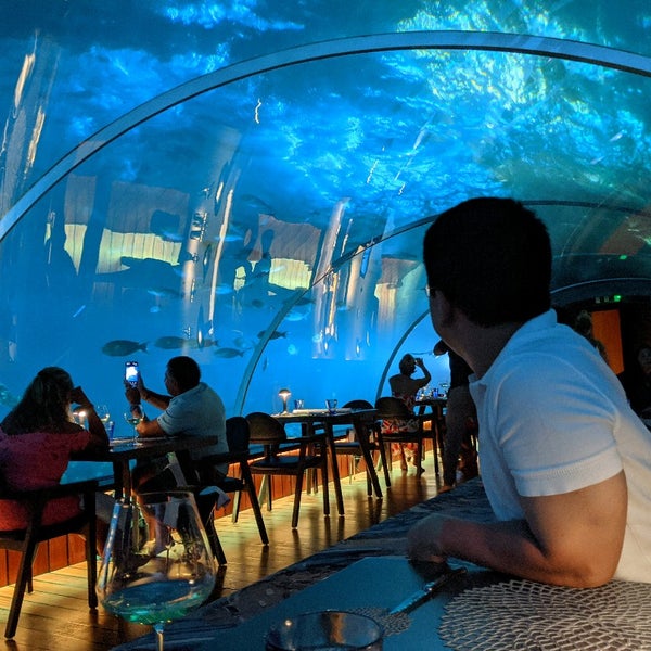 Ресторан 5 8 Undersea Restaurant