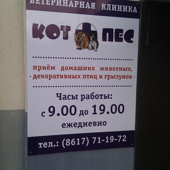 Кот и пес георгиевск