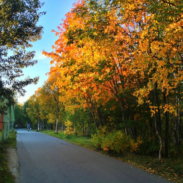 Парк в академгородке